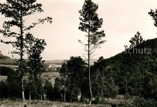 AK / Ansichtskarte Sundern Sauerland Panorama Kat. Sundern (Sauerland)