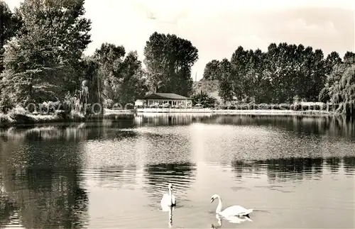 AK / Ansichtskarte Bad Gandersheim Osterbergsee mit Seeterrassen Schwaene Kat. Bad Gandersheim