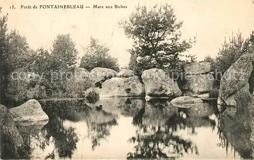 AK / Ansichtskarte Fontainebleau Seine et Marne Marc aux Biches Kat. Fontainebleau