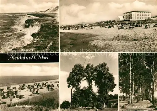 AK / Ansichtskarte Neuhaus Dierhagen Strand Birkenallee Moorkaten Kat. Dierhagen Ostseebad