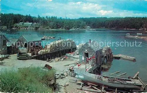 AK / Ansichtskarte Fischerei Typical Maine Fishing Village Lobster Traps Buoys  Kat. Handwerk