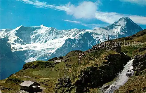AK / Ansichtskarte Gletscher Grindelwald First Bachlaeger Fiescherhorn Eiger  Kat. Berge