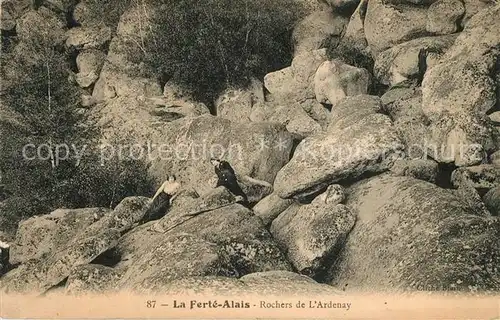 AK / Ansichtskarte La Ferte Alais Rochers de l`Ardenay Kat. La Ferte Alais