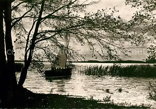 AK / Ansichtskarte Segelboote Steinhuder Meer  Kat. Schiffe