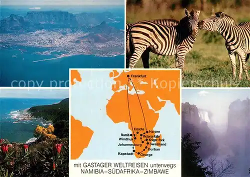 AK / Ansichtskarte Zebra Namibia Suedafrika Zimbawe Gastager Weltreisen Kat. Tiere