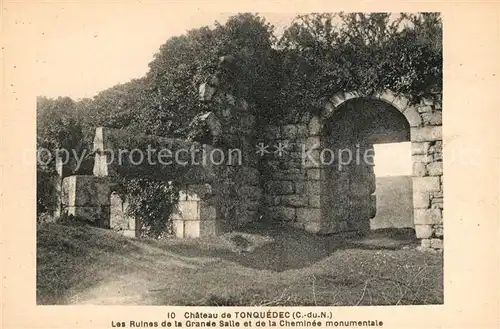 AK / Ansichtskarte Tonquedec Chateau Les Ruines de la Grande Salle et de la Cheminee monumentale Kat. Tonquedec