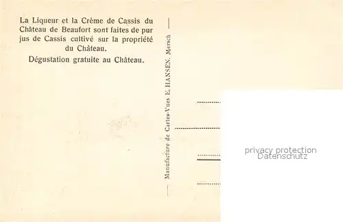 AK / Ansichtskarte Beaufort Herault Culture de Cassis sur la propriete du Chateau de Beaufort Kat. Beaufort