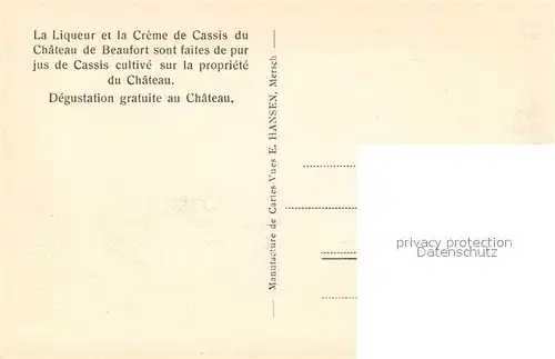 AK / Ansichtskarte Beaufort Herault Culture de Cassis sur la propriete du Chateau de Beaufort Kat. Beaufort