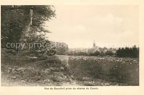 AK / Ansichtskarte Beaufort Herault Vue de la ville prise du champ de Cassis Kat. Beaufort