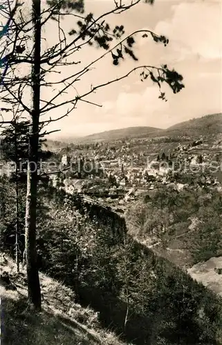 AK / Ansichtskarte Lichtental Panorama Kat. Baden Baden