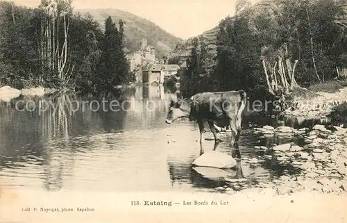 AK / Ansichtskarte Estaing Aveyron Les Bords du Lot Kuh Kat. Estaing