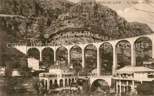 AK / Ansichtskarte Loup Les Gorges et Viaduct Kat. Lourdes