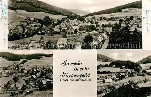 AK / Ansichtskarte Niedersfeld Teilansichten Panorama Kat. Winterberg
