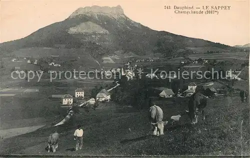 AK / Ansichtskarte Le Sappey en Chartreuse Isere Dauphine Chamechaude Kuehe Kat. Le Sappey en Chartreuse