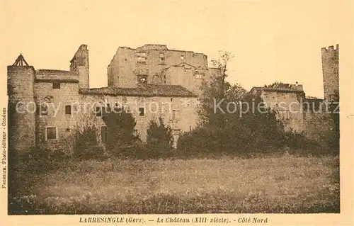 AK / Ansichtskarte Gers Larresingle Chateau 
