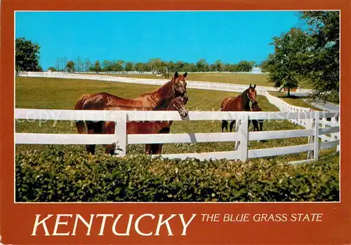 AK / Ansichtskarte Pferde Kentucky Blue Grass Horse Farms Kat. Tiere