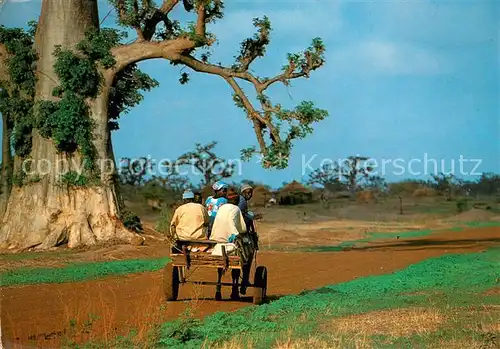 AK / Ansichtskarte Typen Afrika Transport Traditionnel 