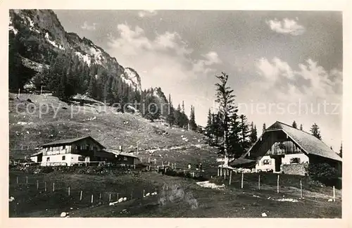 AK / Ansichtskarte Chiemgau Bruennling Alm Kat. Chiemsee