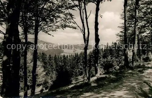 AK / Ansichtskarte Schwalefeld Waldweg Blick zum Burgring Landschaftspanorama Kat. Willingen (Upland)