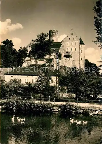 AK / Ansichtskarte Gnandstein Burg Wasservoegel auf der Wyhra Kat. Kohren Sahlis