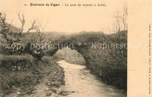 AK / Ansichtskarte Le Vigan Gard Le pont de mousse a Aveze Kat. Le Vigan
