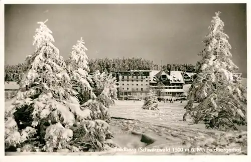 AK / Ansichtskarte Feldberg Schwarzwald Feldbergerhof Kat. Feldberg (Schwarzwald)