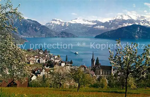 AK / Ansichtskarte Weggis Vierwaldstaettersee Panorama Kurort mit Alpen Baumbluete