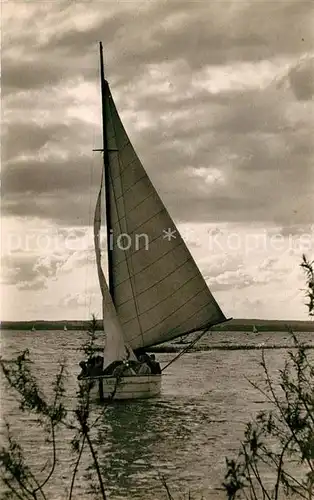 AK / Ansichtskarte Segelboote Duemmersee  Kat. Schiffe