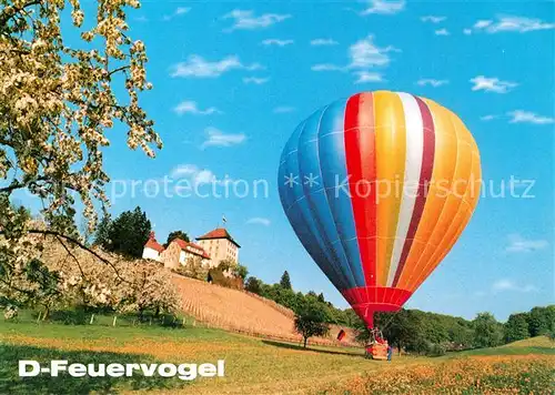 AK / Ansichtskarte Heissluftballon D Feuervogel  Kat. Flug