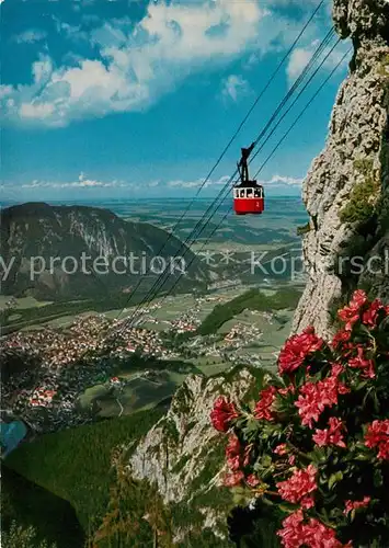 AK / Ansichtskarte Seilbahn Predigtstuhl Bad Reichenhall  Kat. Bahnen