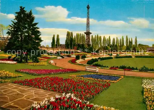 AK / Ansichtskarte Berlin Saemmergarten am Funkturm Blumenbeete Kat. Berlin