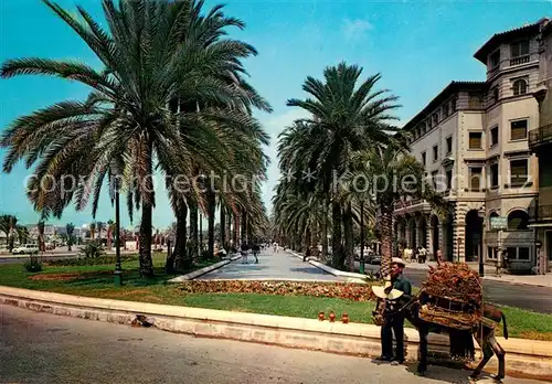 AK / Ansichtskarte Palma de Mallorca Paseo Sagrera Palmen Esel Lasttier Kat. Palma de Mallorca