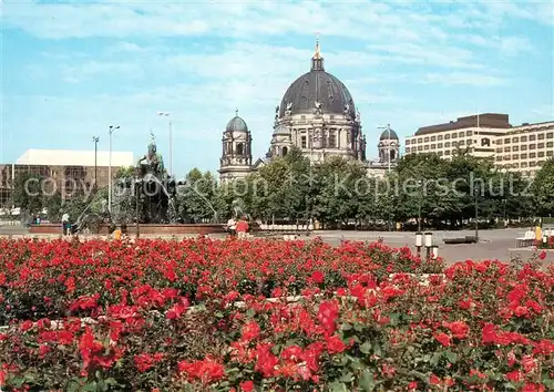 AK / Ansichtskarte Berlin Palast der Republik und Dom Blumenbeet Hauptstadt der DDR Kat. Berlin