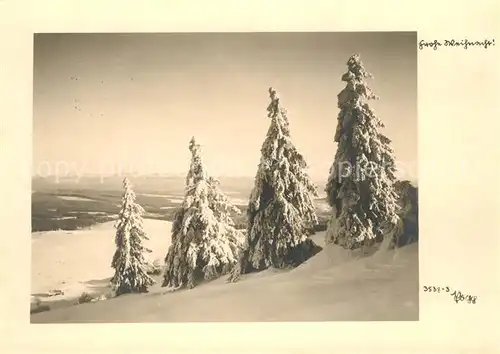 AK / Ansichtskarte Foto Popp Nr. 3538 3 Tannenbaeume Weihnachten  Kat. Fotografie