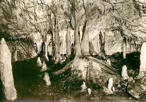 AK / Ansichtskarte Hoehlen Caves Grottes Hermannshoehle Maerchenwald Ruebeland  Kat. Berge