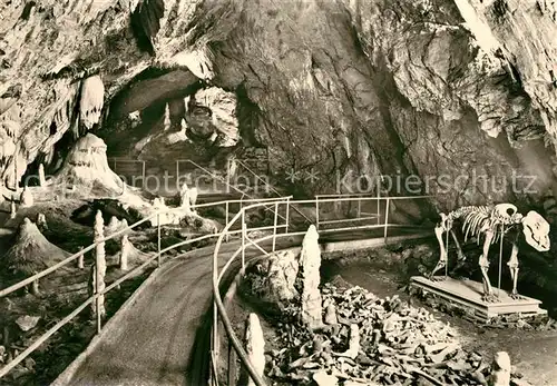 AK / Ansichtskarte Hoehlen Caves Grottes Hermannshoehle Baerenfriedhof Kanzel Ruebeland  Kat. Berge