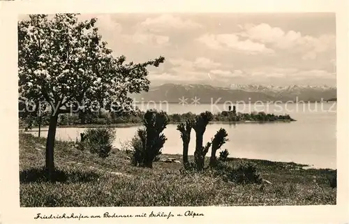 AK / Ansichtskarte Friedrichshafen Bodensee Schloss Alpen Kat. Friedrichshafen