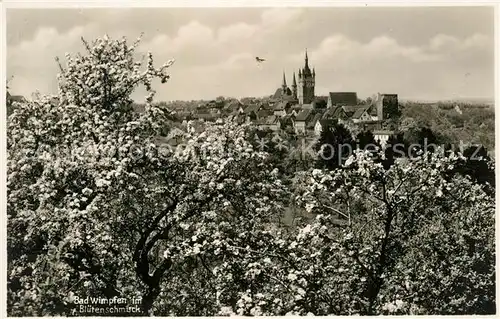 AK / Ansichtskarte Bad Wimpfen Fruehlingsbluete Panorama Kat. Bad Wimpfen