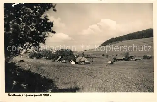 AK / Ansichtskarte Breitnau Panorama Kat. Breitnau