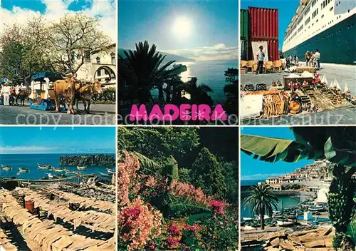 AK / Ansichtskarte Madeira Schoensten Ansichten der Insel Kat. Portugal