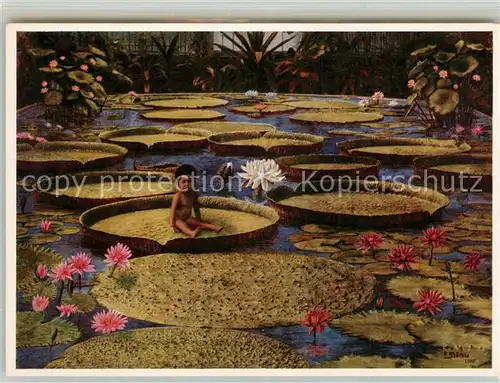AK / Ansichtskarte Nymphenburg Botanischer Garten Kind auf Wasserpflanzenblatt Kat. Muenchen
