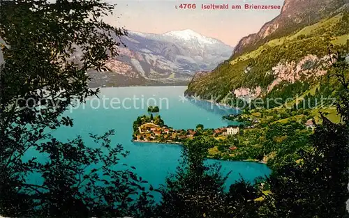 AK / Ansichtskarte Iseltwald Seepanorama Brienzersee Kat. Iseltwald