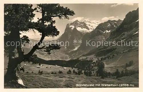 AK / Ansichtskarte Grindelwald Wetterhorn Panorama Kat. Grindelwald