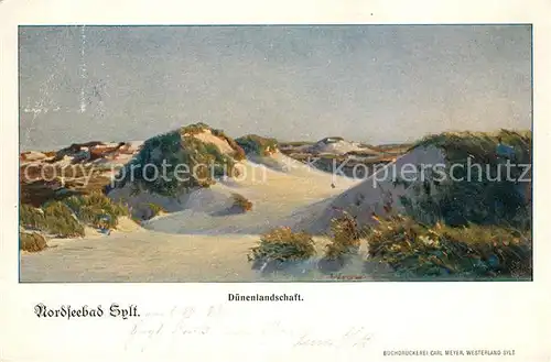 AK / Ansichtskarte Sylt Duenenlandschaft Kat. Sylt Ost