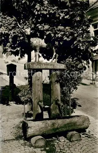 AK / Ansichtskarte Neustadt Schwarzwald Hirschbrunnen