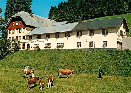 AK / Ansichtskarte Titisee Gasthaus Pension Schneeberg Kat. Titisee Neustadt