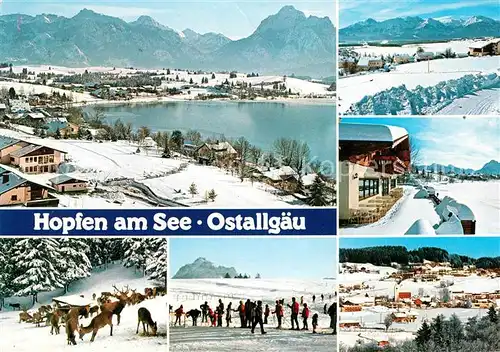 AK / Ansichtskarte Hopfen See Winterpanorama Alpen Skipiste Wildfuetterung Kat. Fuessen