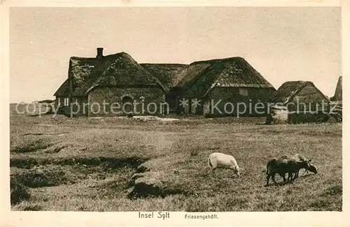 AK / Ansichtskarte Insel Sylt Friesengehoeft Kat. Westerland