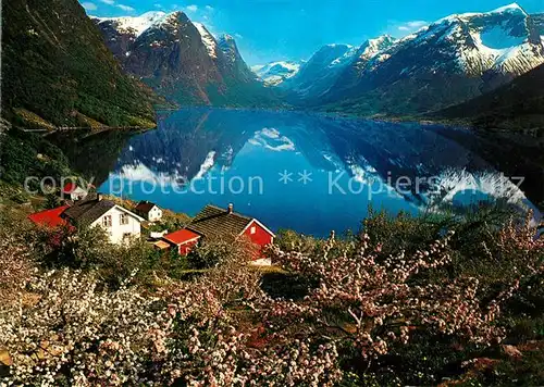 AK / Ansichtskarte Oppstryn Dorf am See Oppstrynsvatnet Berge Wasserspiegelung Baumbluete Natur