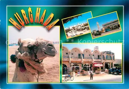 AK / Ansichtskarte Hurghada Kamel Strassenpartie Kat. Hurghada